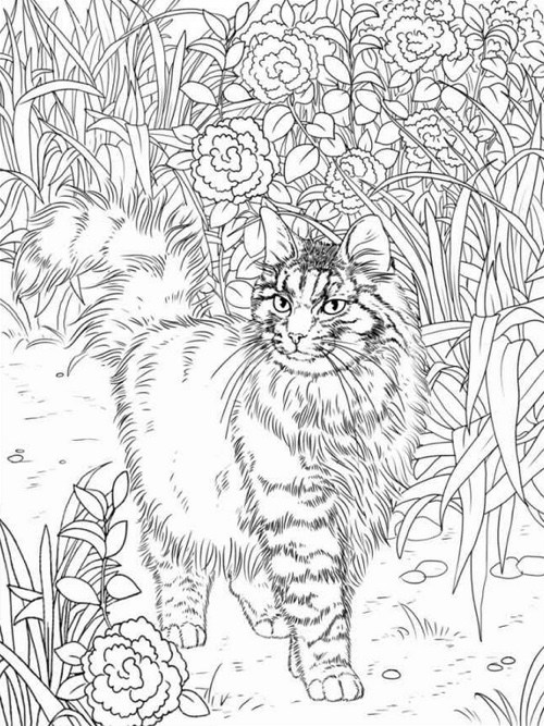 Cat Coloring Pages For Adults Part 4